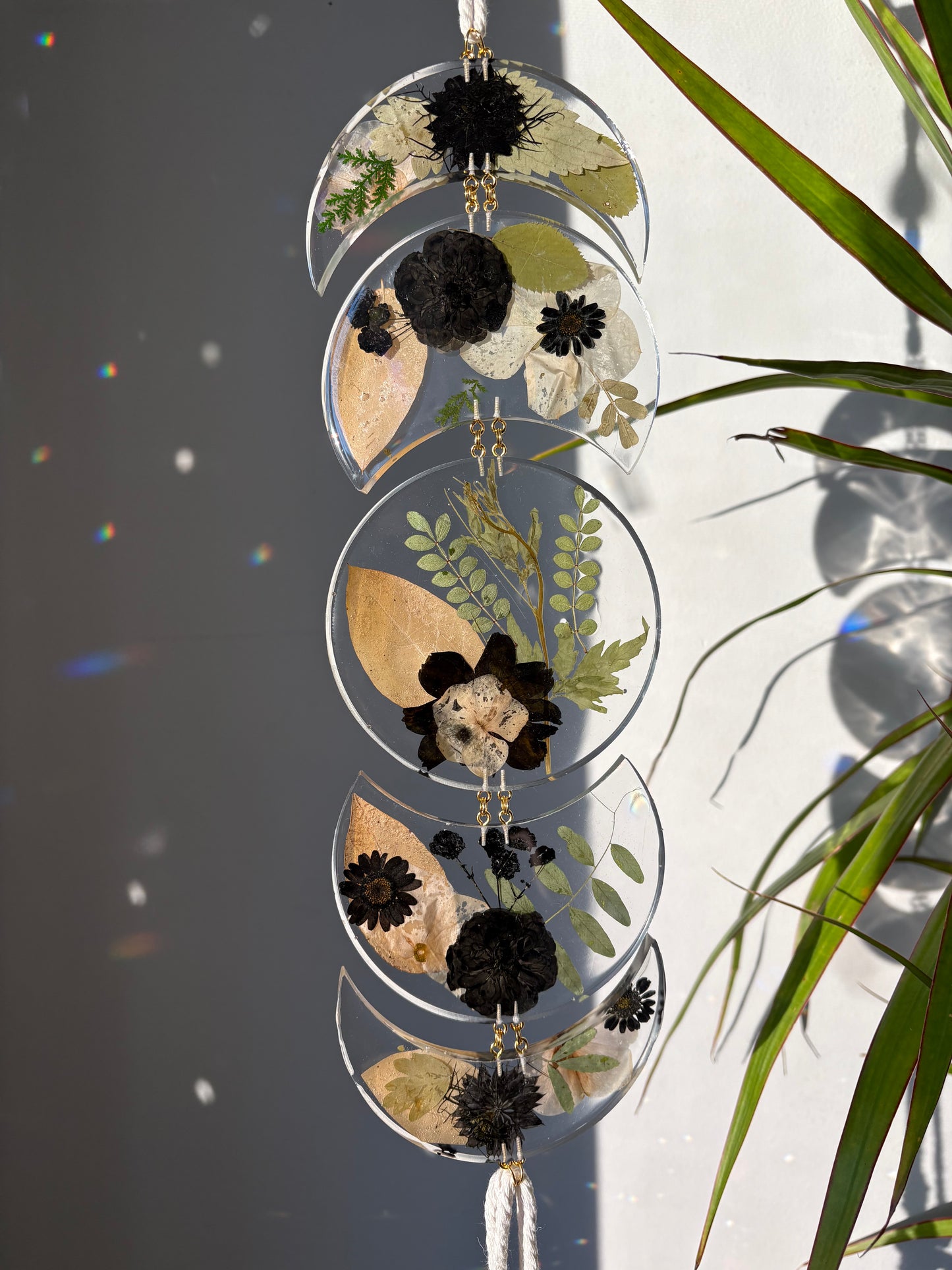 Moon phase flowers